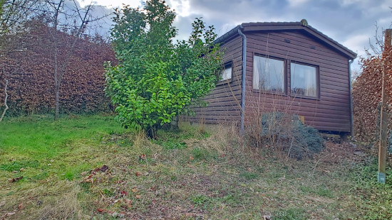 Tier de Rinze - 37 - 165 - 6940