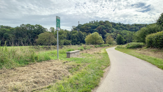 Tier de Rinze - 37 - 165 - 6940