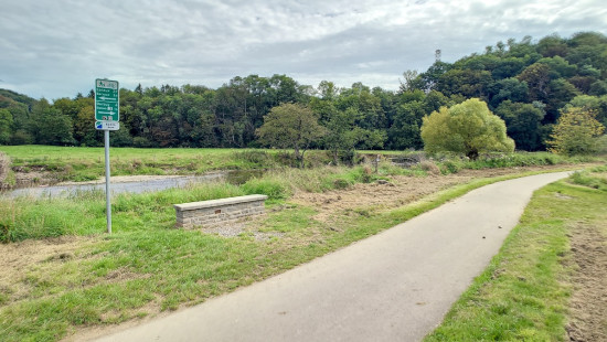 Tier de Rinze - 37 - 165 - 6940