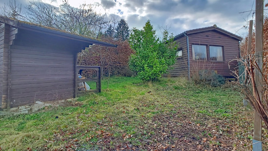 Tier de Rinze - 37 - 165 - 6940