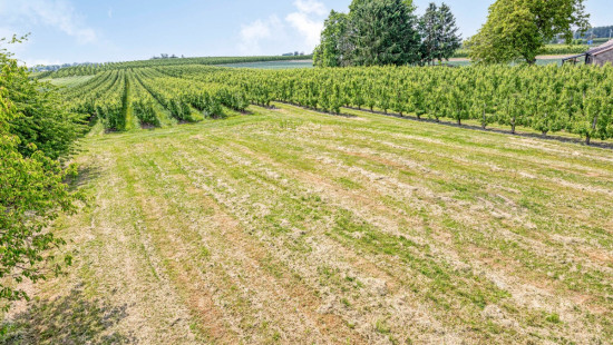 Tiensestraat - 66 - - 3470