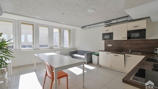 Rue du Congrès - 17 - - 1000