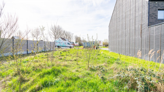 Callamerenstraat - 2 - - 9120