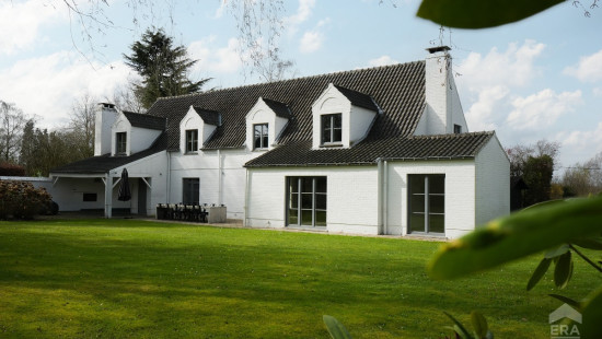 Le Boricar - 5 - - 1380