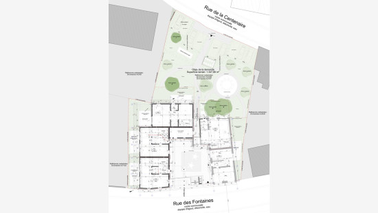 Rue des Fontaines - 10 - 2 - 4360