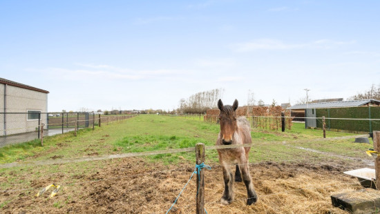 Lange Molenstraat - 31 - A - 9280