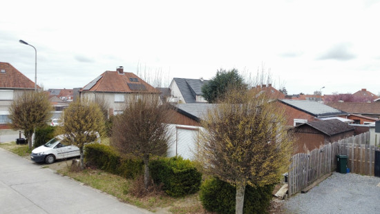 Loofstraat - 1 - - 8790