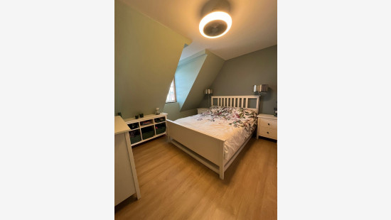 Vrijheid - 146 - 4 - 2320