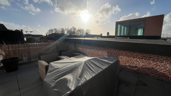 Vrijheid - 146 - 4 - 2320