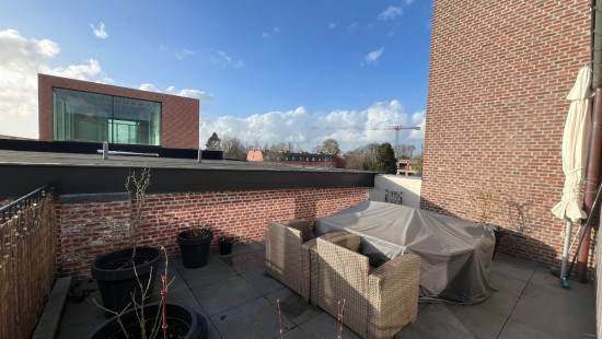 Vrijheid - 146 - 4 - 2320