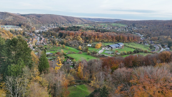 Chemin des Mésanges - 31 - 21 (CLONE) - 5170