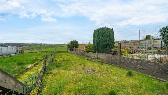 Maurice Duesberg - 100 - - 4821