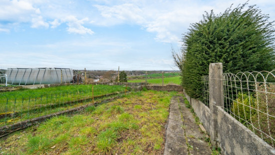 Maurice Duesberg - 100 - - 4821