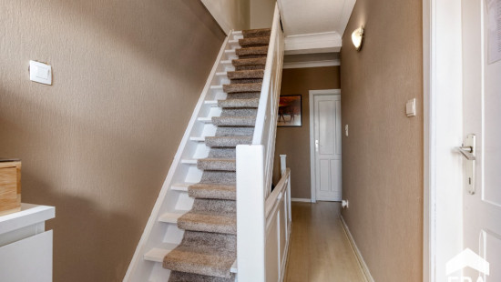 Molsesteenweg - 92 - - 2490