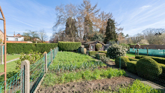 Peperstraat - 83 - - 9100