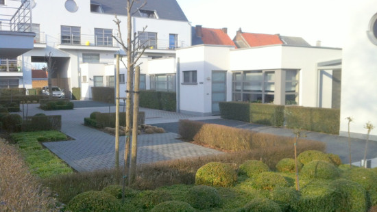 Pollarestraat - 114B - - 9400