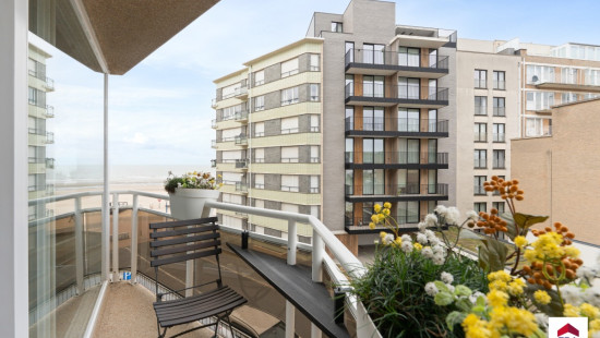 Steekspelstraat - 27 - 02.02 - 8670