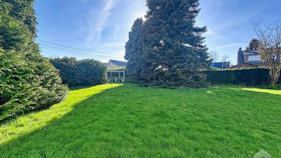 Avenue des Grives - 6 - - 1420