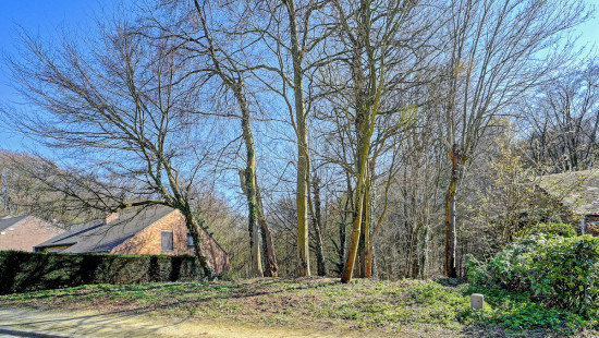 Groenlaan - 5 - - 3080