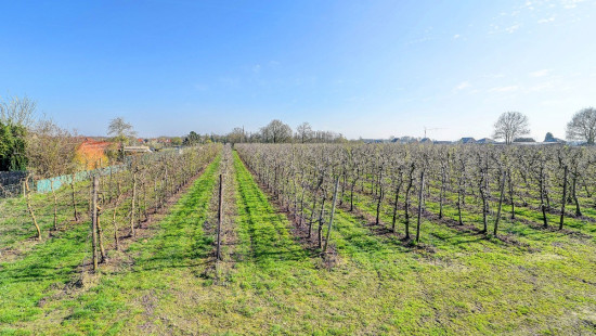 Keelstraat - 50 - - 3391