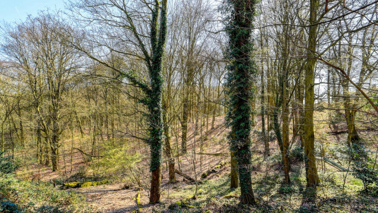 Groenlaan - 5 - - 3080