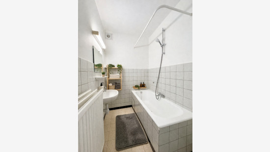 Hoogtepunt - 11 - - 1731