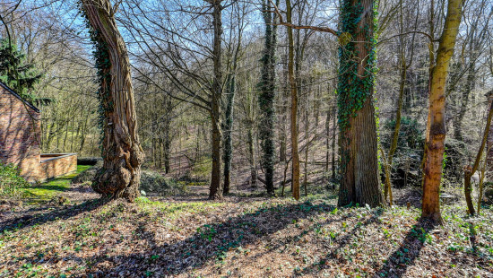 Groenlaan - 5 - - 3080