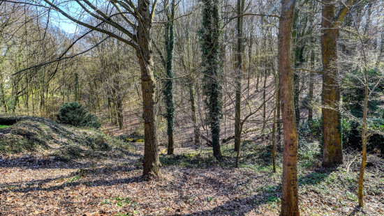 Groenlaan - 5 - - 3080