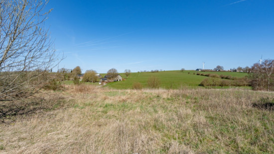 Hubermont - 50 - - 6680