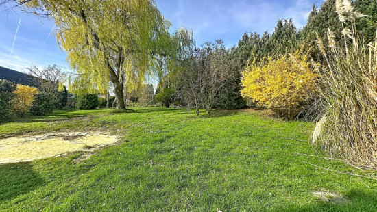 Rue Cornuchamp - 47 - - 4260