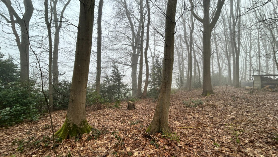 Sprookjesbosdreef - 29 - - 8980