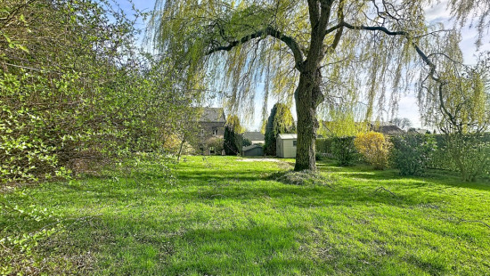 Rue Cornuchamp - 47 - - 4260