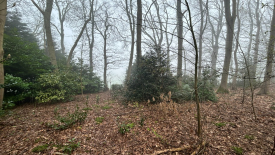 Sprookjesbosdreef - 29 - - 8980