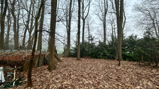 Sprookjesbosdreef - 29 - - 8980