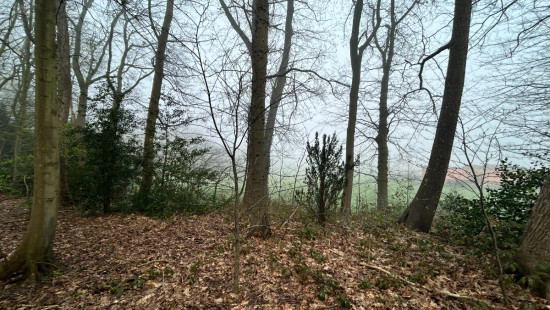 Sprookjesbosdreef - 29 - - 8980