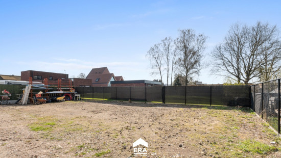 Wolfsstraat - 1A - - 3660