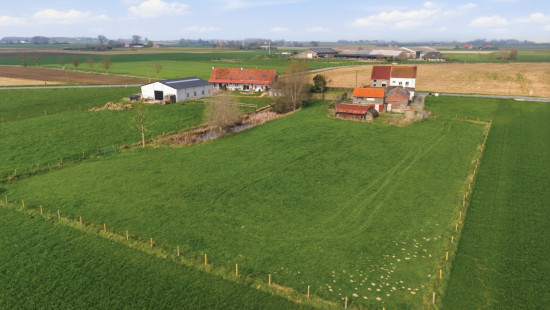 Kallestraat - 32 - - 422 - 8691