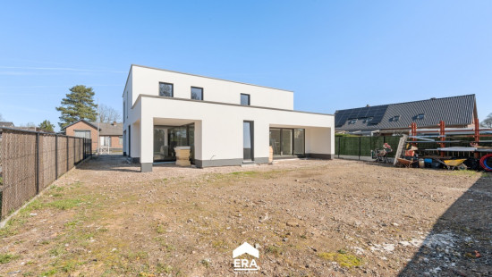 Wolfsstraat - 1A - - 3660