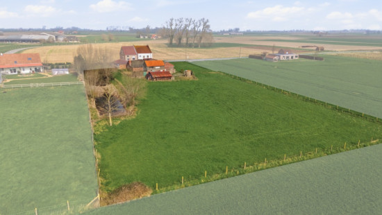 Kallestraat - 32 - - 422 - 8691