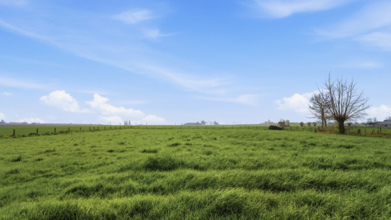 Kallestraat - 32 - - 422 - 8691