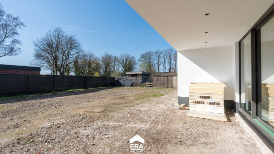 Wolfsstraat - 1 - - 3660