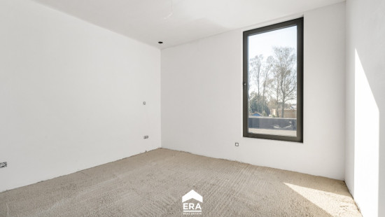 Wolfsstraat - 1A - - 3660