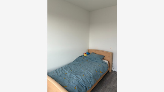 Goede Hoopstraat - 3 - - 8791