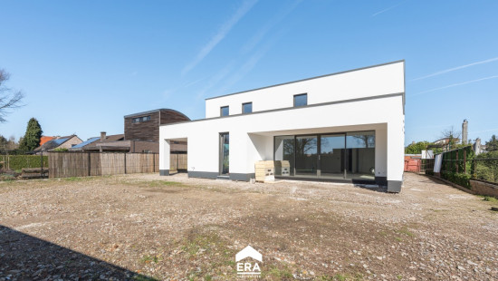 Wolfsstraat - 1 - - 3660