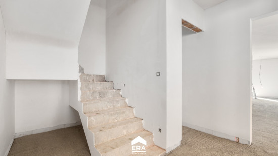 Wolfsstraat - 1A - - 3660