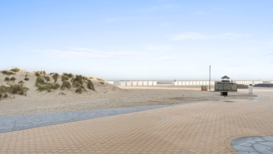 Zeedijk (Velasquez) - 40 - - 8620