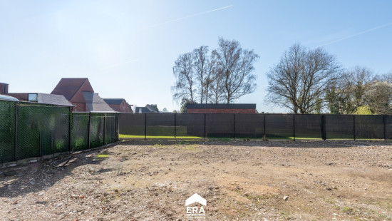 Wolfsstraat - 1 - - 3660