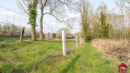 Hoekstraat - 57 - 11 - 9470