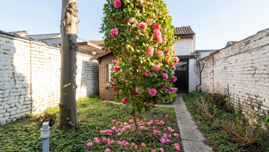 Stationsstraat - 49 - - 9400