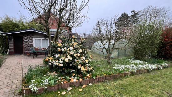 Torteldreef - 23 - - 8800